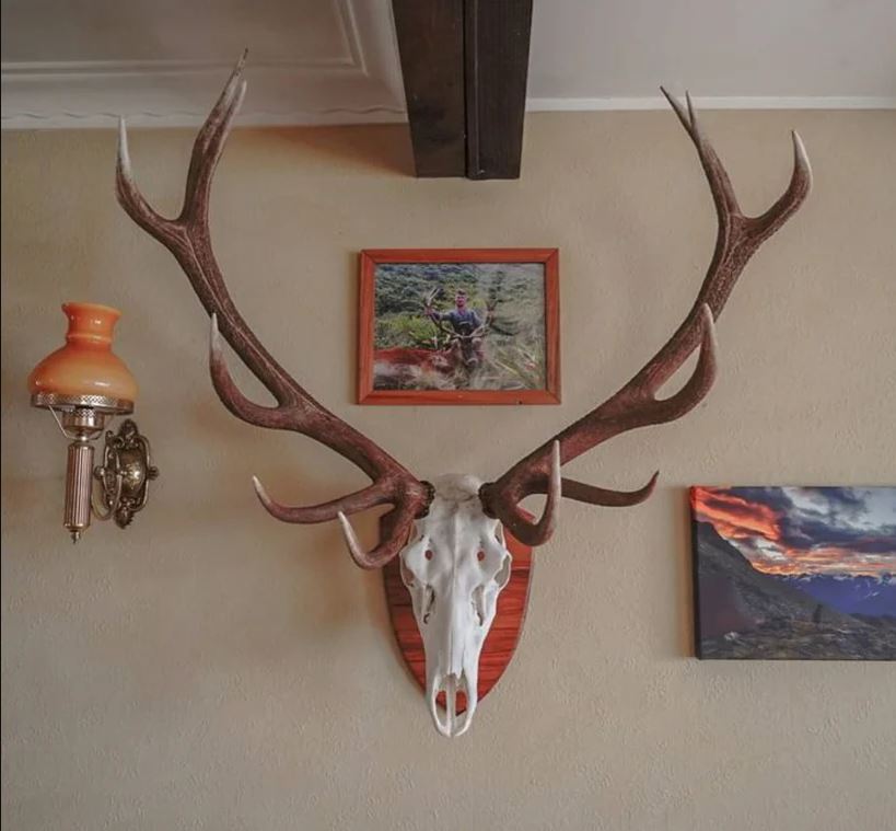 Trophy Hooks